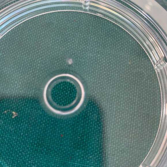 Starbucks Bundle of 2 Cups - Picture 8 of 8